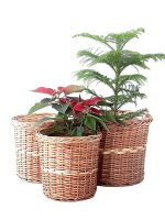 Willow Natural & Handmade Wicker Planter for Indoor - Outdoor Balcony, Terrace, Home Décor for Table Shelf, Storage Basket – Set of 3(Premium Quality)