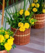 Willow Natural & Handmade Wicker Planter for Indoor - Outdoor Balcony, Terrace, Home Décor for Table Shelf, Storage Basket – Set of 3(Premium Quality) - Image 4